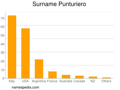 Familiennamen Punturiero