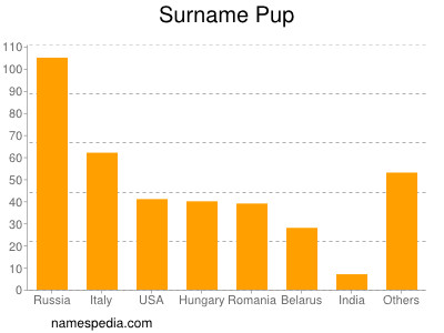 Familiennamen Pup