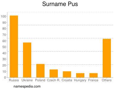 Familiennamen Pus