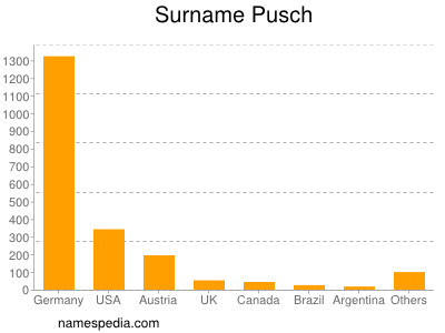 Familiennamen Pusch