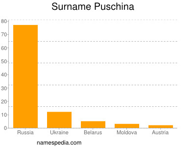 Familiennamen Puschina
