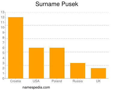 Surname Pusek