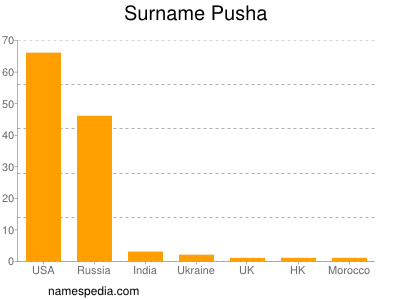 Surname Pusha