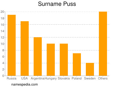 Familiennamen Puss