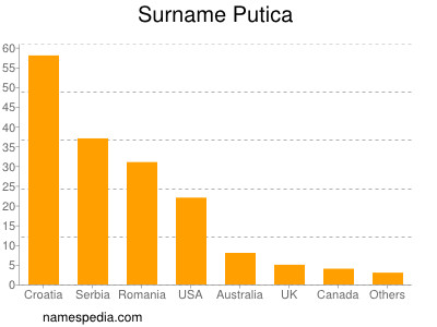Surname Putica