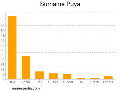Familiennamen Puya