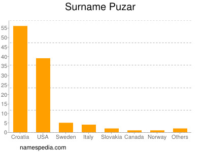 Surname Puzar