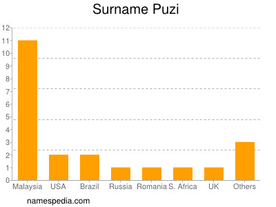 Surname Puzi