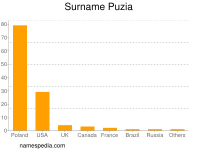 Surname Puzia