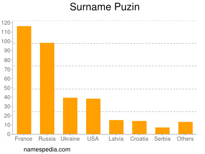 Familiennamen Puzin