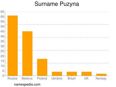 Familiennamen Puzyna