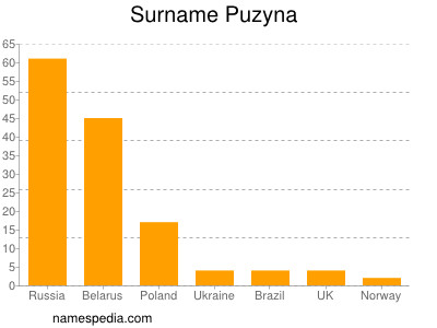 nom Puzyna