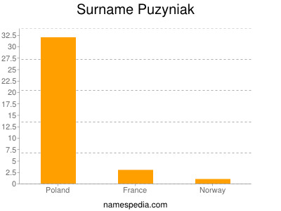 Familiennamen Puzyniak