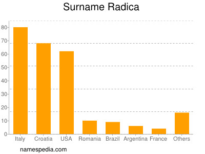 Surname Radica