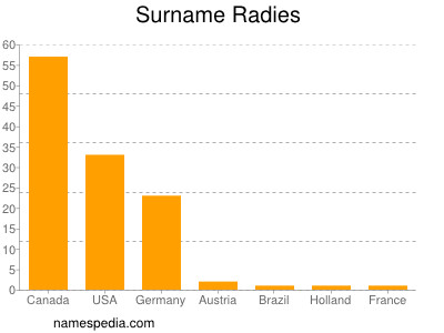 Familiennamen Radies