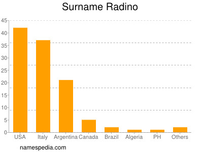 Familiennamen Radino