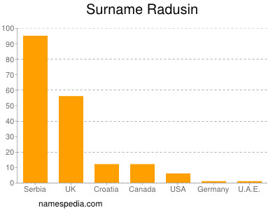 Familiennamen Radusin