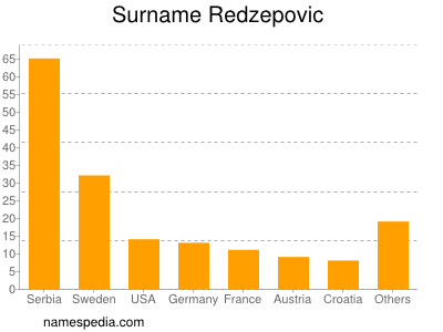 Surname Redzepovic