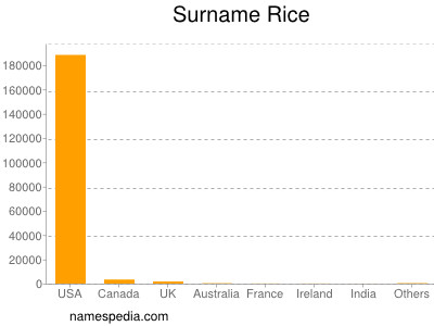 Familiennamen Rice