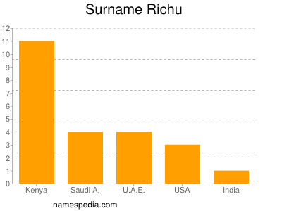 Familiennamen Richu