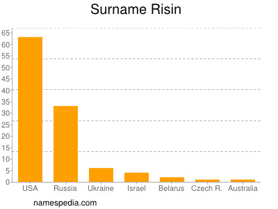 Surname Risin