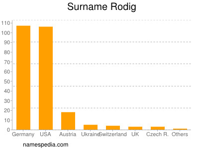 Familiennamen Rodig