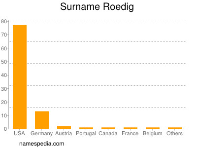 Surname Roedig