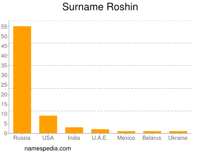 Familiennamen Roshin