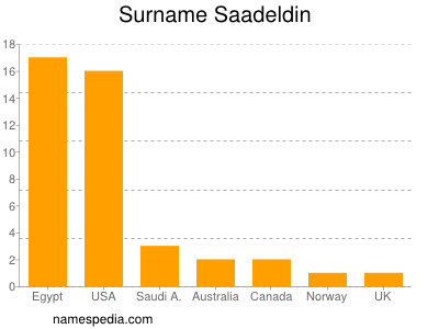 Surname Saadeldin