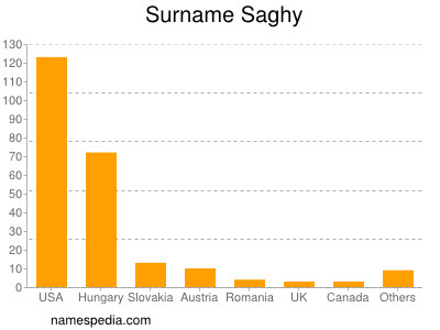 Surname Saghy