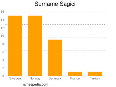 Surname Sagici