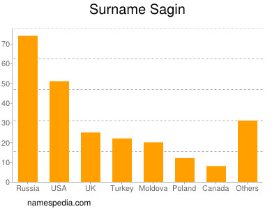 Familiennamen Sagin