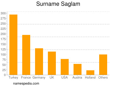 Familiennamen Saglam