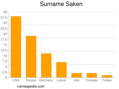 Surname Saken