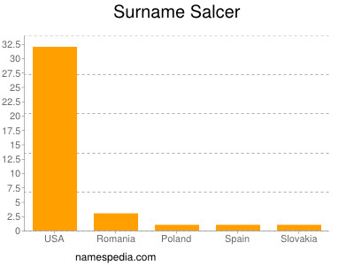 Surname Salcer