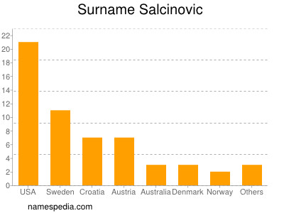 Familiennamen Salcinovic