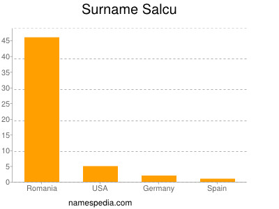 Familiennamen Salcu
