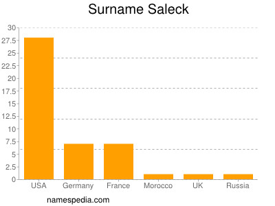 Familiennamen Saleck