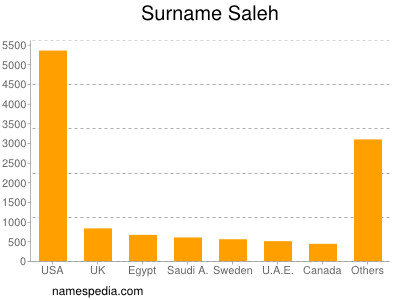 Familiennamen Saleh