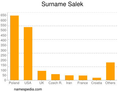 Surname Salek