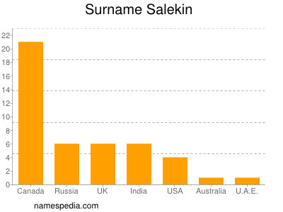 Familiennamen Salekin