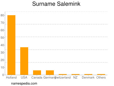 Familiennamen Salemink