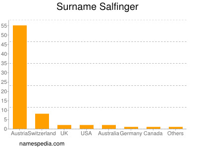 Familiennamen Salfinger