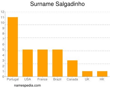 Surname Salgadinho