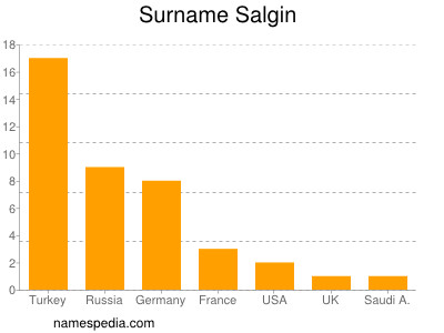 Familiennamen Salgin