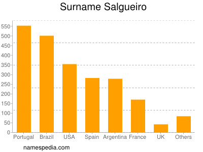 Surname Salgueiro
