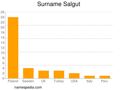 Familiennamen Salgut