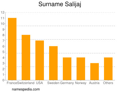 Familiennamen Salijaj