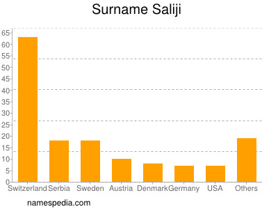 Familiennamen Saliji