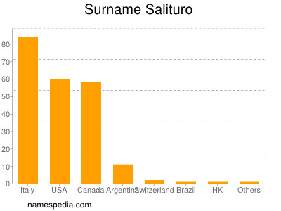 Familiennamen Salituro